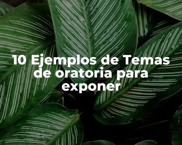10 Ejemplos de Temas de oratoria para exponer