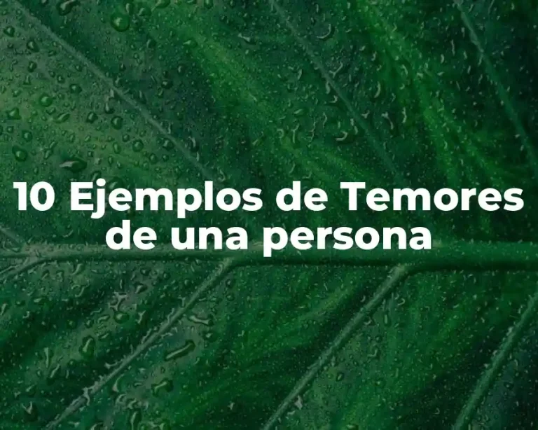 10 Ejemplos de Temores de una persona