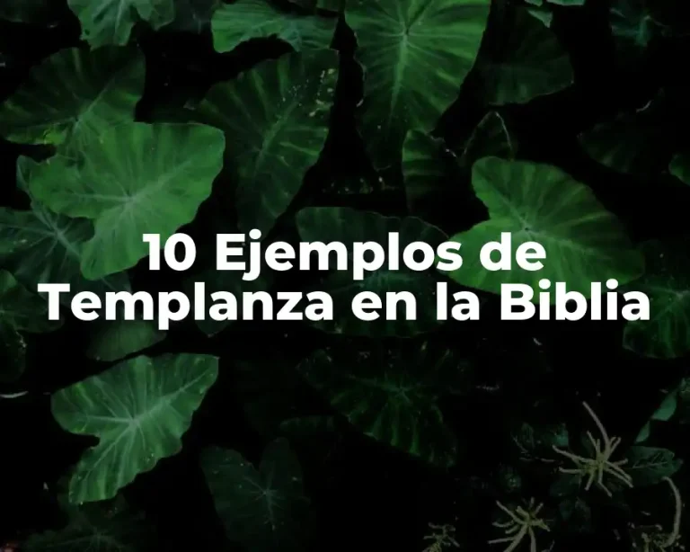 10 Ejemplos de Templanza en la Biblia