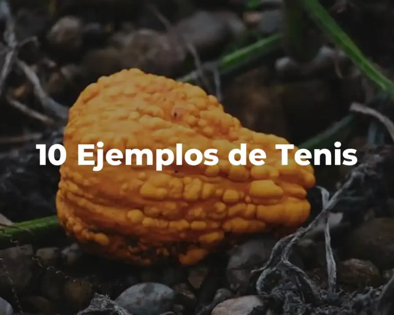 10 Ejemplos de Tenis