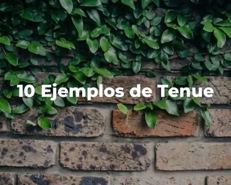 10 Ejemplos de Tenue