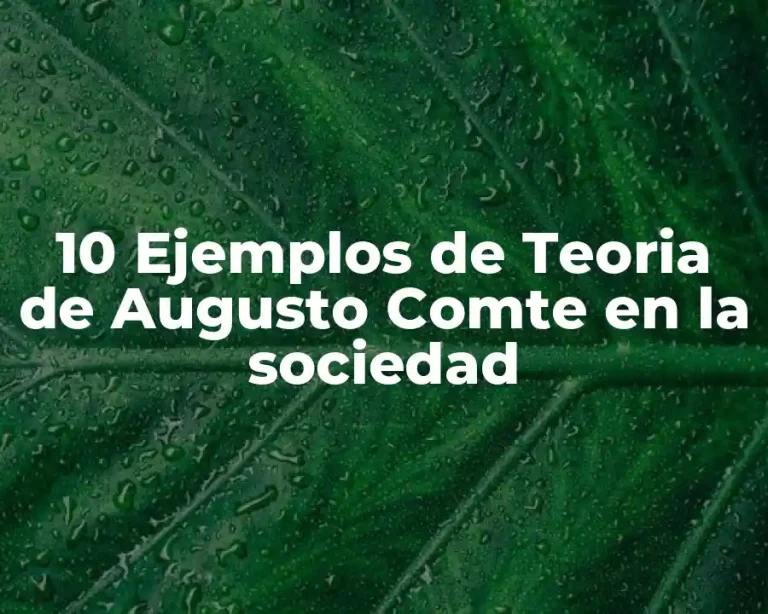 10 Ejemplos de Teoria de Augusto Comte en la sociedad