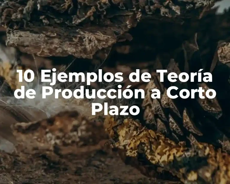 10 Ejemplos de Teoría de Producción a Corto Plazo