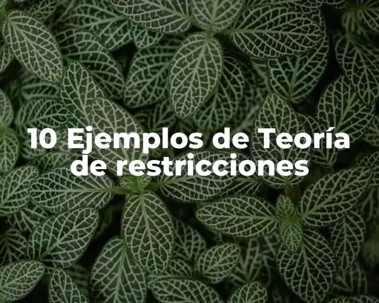 10 Ejemplos de Teoría de restricciones