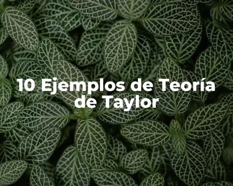 10 Ejemplos de Teoría de Taylor
