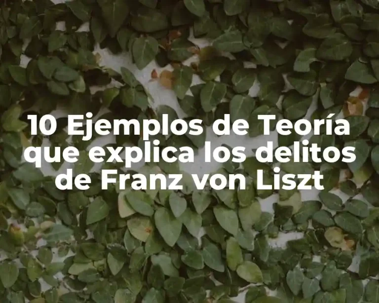 10 Ejemplos de Teoría que explica los delitos de Franz von Liszt