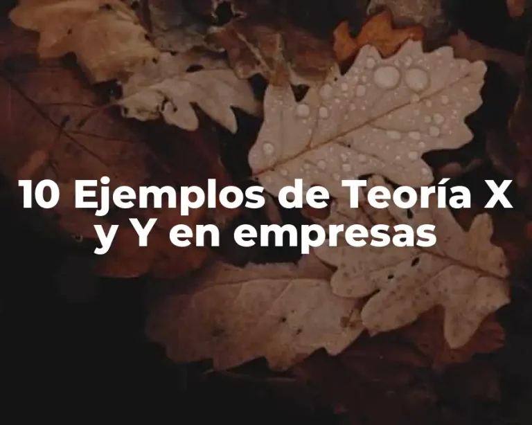 10 Ejemplos de Teoría X y Y en empresas