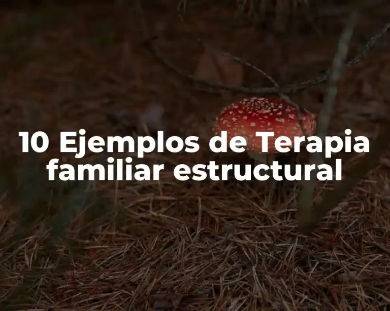 10 Ejemplos de Terapia familiar estructural