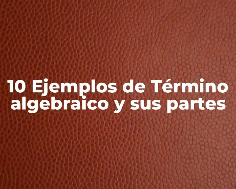 10 Ejemplos de Término algebraico y sus partes