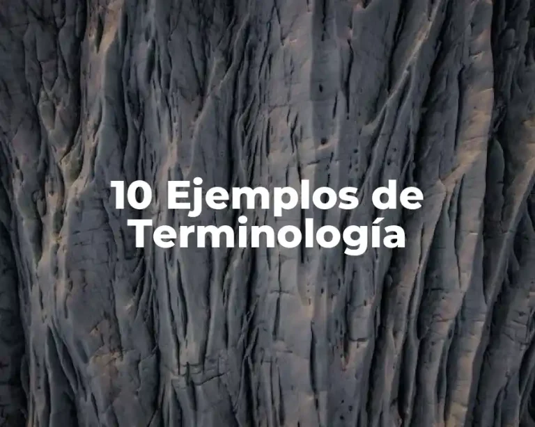 10 Ejemplos de Terminología