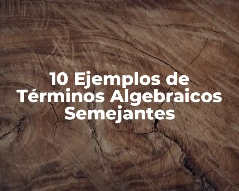 10 Ejemplos de Términos Algebraicos Semejantes