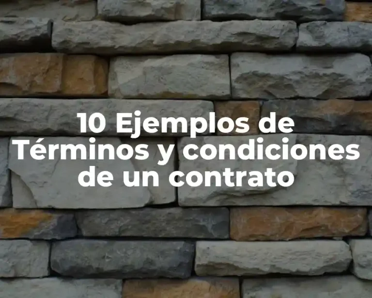 10 Ejemplos de Términos y condiciones de un contrato