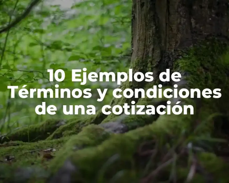 10 Ejemplos de Términos y condiciones de una cotización