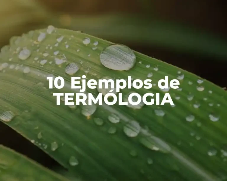 10 Ejemplos de TERMÓLOGIA