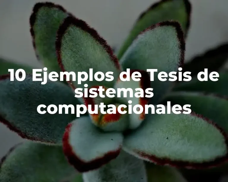 10 Ejemplos de Tesis de sistemas computacionales