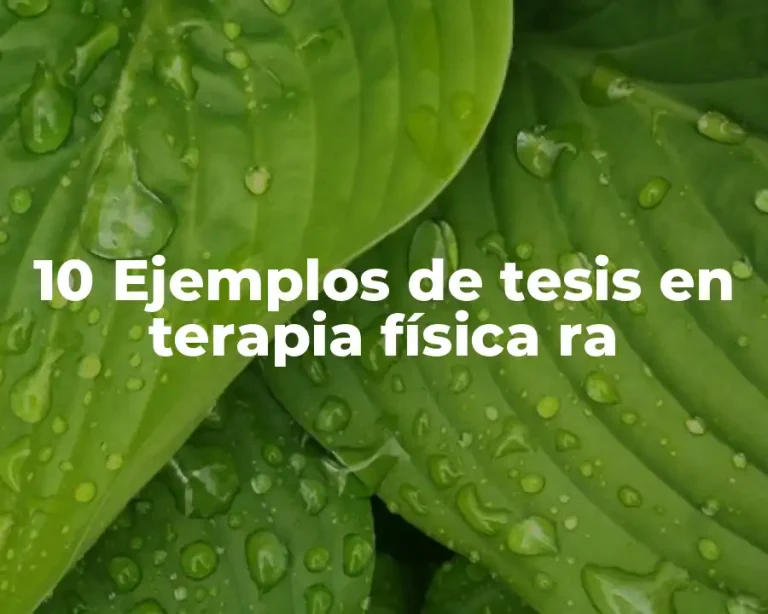 10 Ejemplos de tesis en terapia física ra