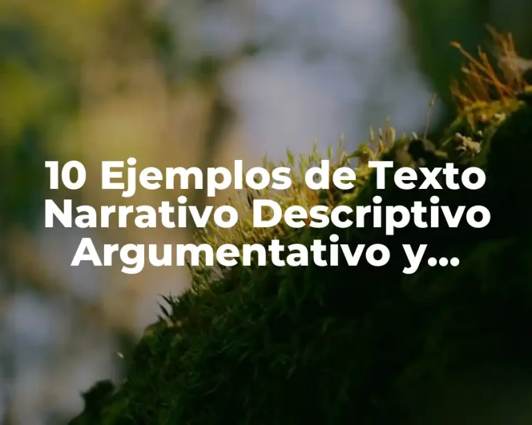 10 Ejemplos de Texto Narrativo Descriptivo Argumentativo y Expositivo