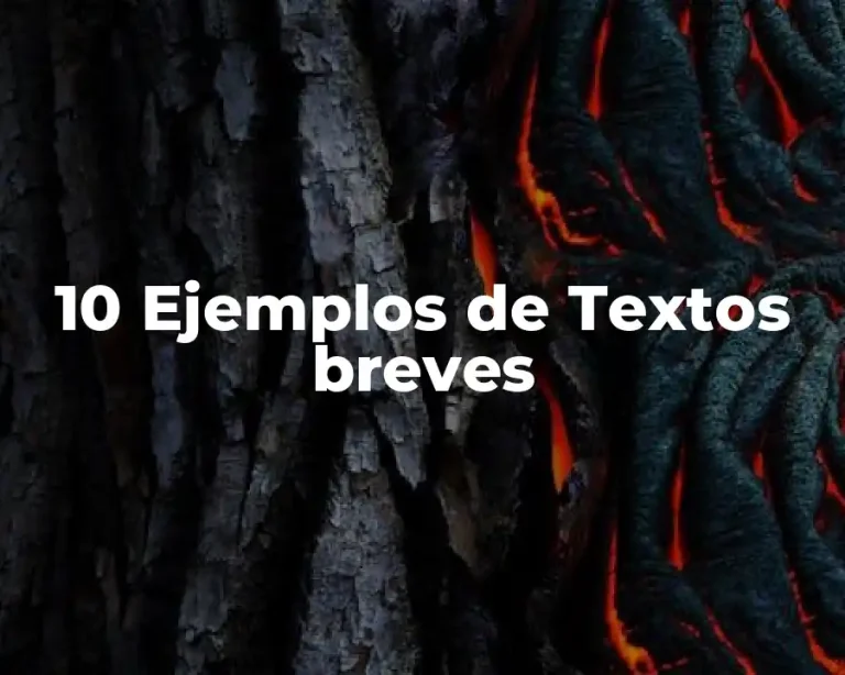 10 Ejemplos de Textos breves