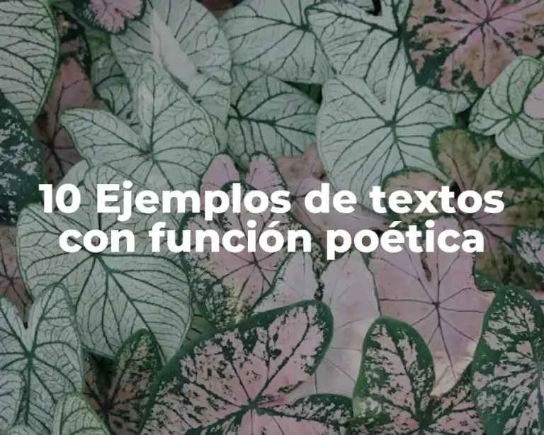 10 Ejemplos de textos con función poética