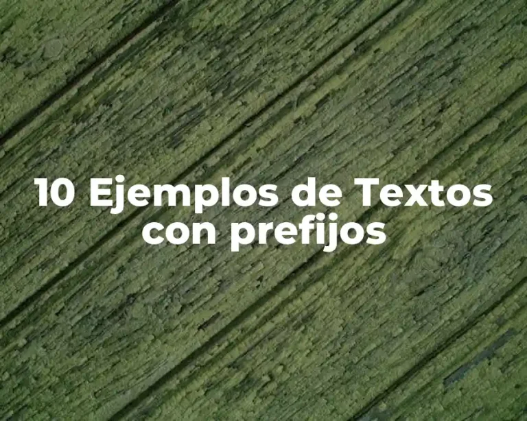 10 Ejemplos de Textos con prefijos