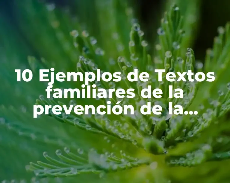10 Ejemplos de Textos familiares de la prevención de la violencia