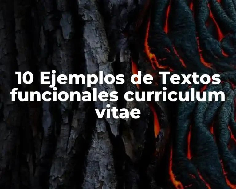 10 Ejemplos de Textos funcionales curriculum vitae