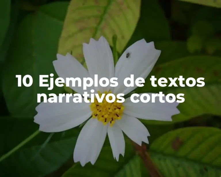 10 Ejemplos de textos narrativos cortos