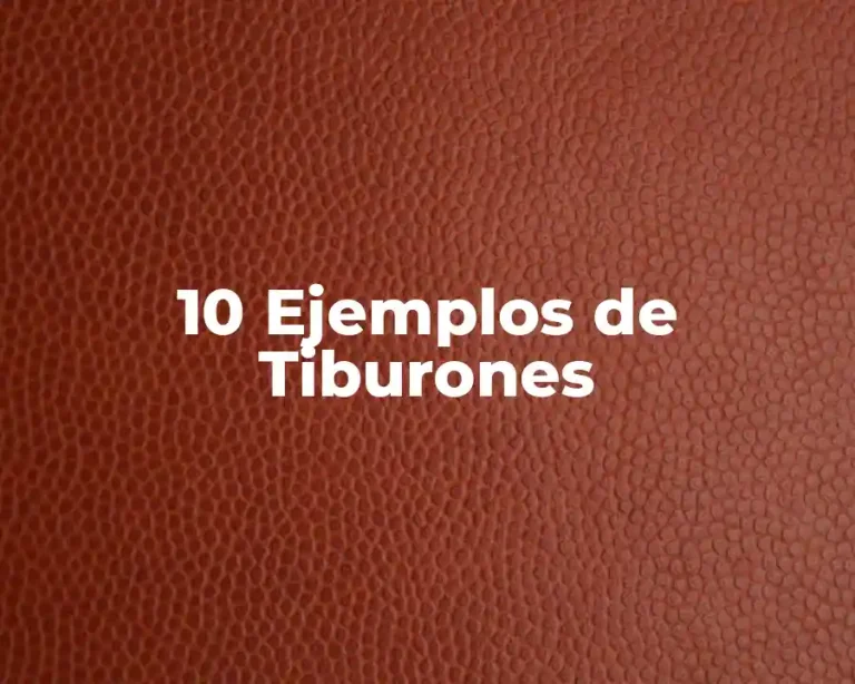 10 Ejemplos de Tiburones
