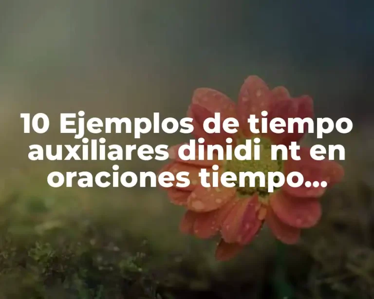 10 Ejemplos de tiempo auxiliares dinidi nt en oraciones tiempo pasado