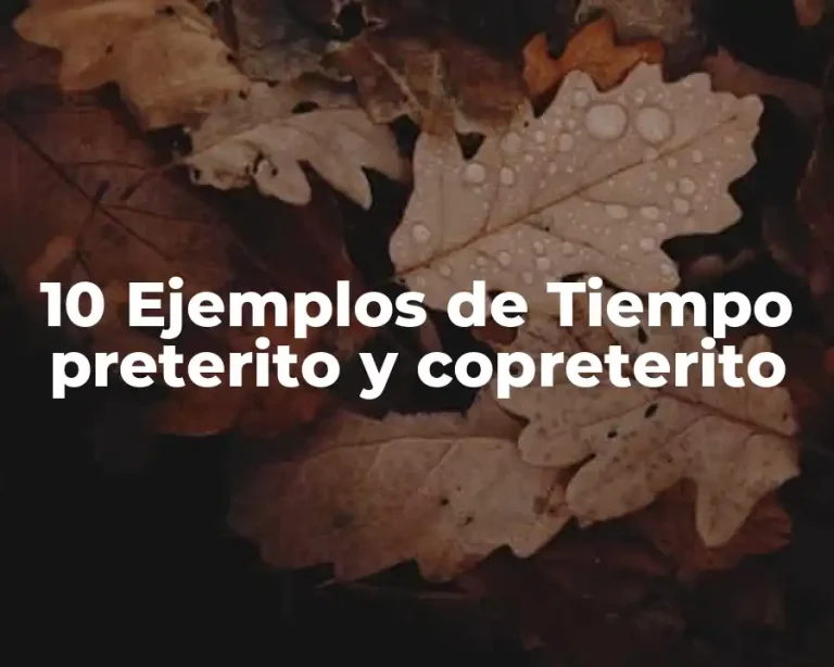 10 Ejemplos de Tiempo preterito y copreterito