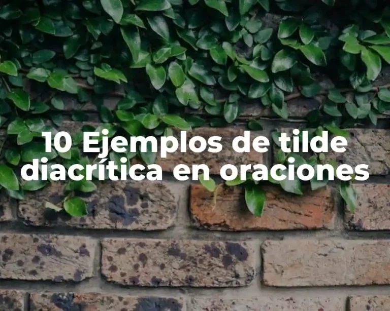 10 Ejemplos de tilde diacrítica en oraciones