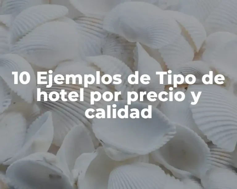 10 Ejemplos de Tipo de hotel por precio y calidad