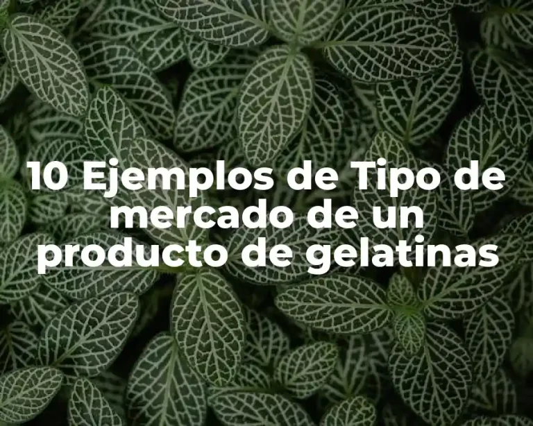10 Ejemplos de Tipo de mercado de un producto de gelatinas