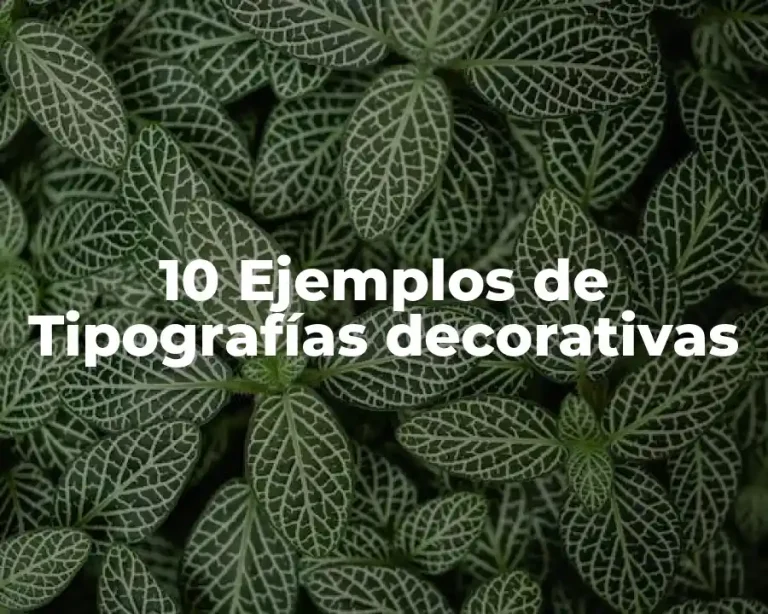 10 Ejemplos de Tipografías decorativas