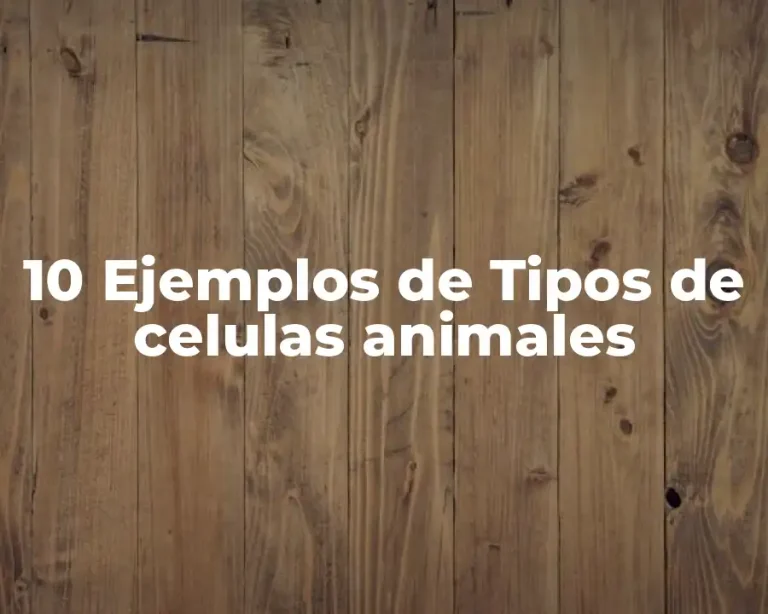 10 Ejemplos de Tipos de celulas animales