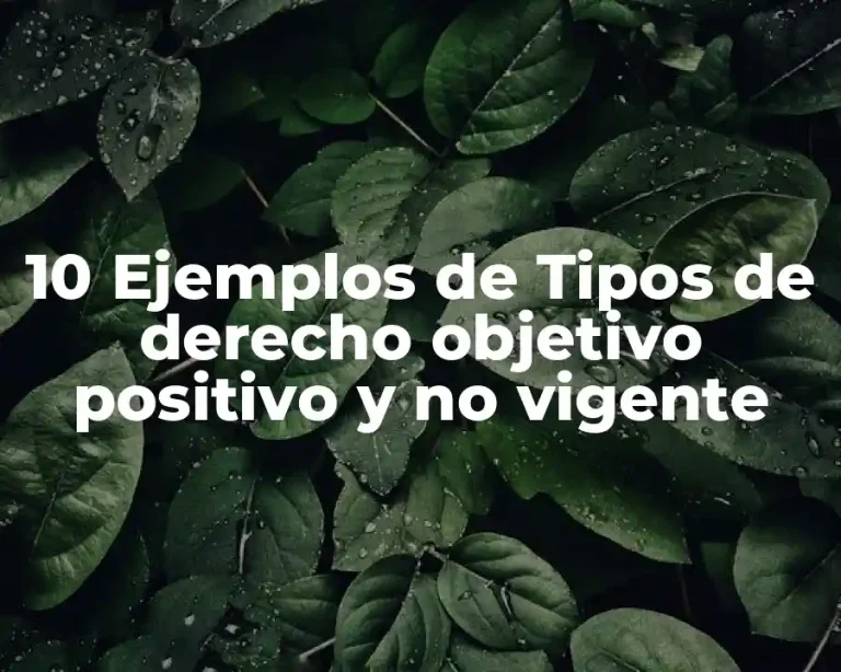 10 Ejemplos de Tipos de derecho objetivo positivo y no vigente