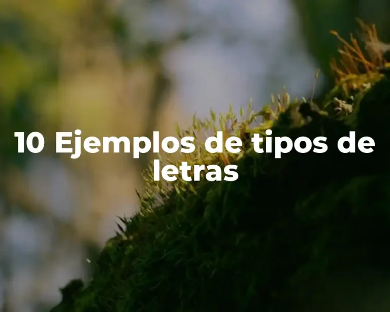 10 Ejemplos de tipos de letras