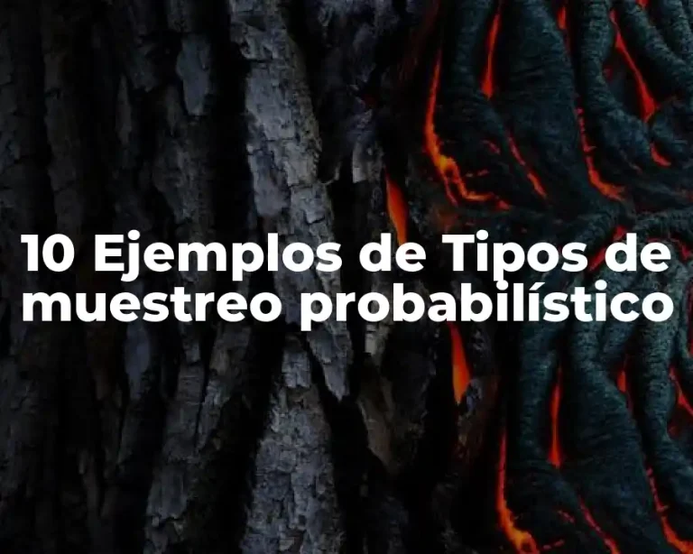 10 Ejemplos de Tipos de muestreo probabilístico