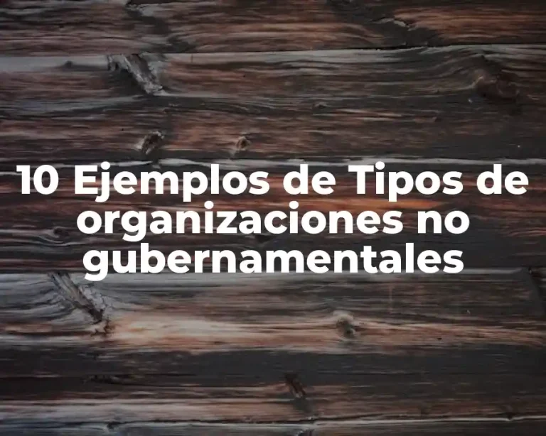 10 Ejemplos de Tipos de organizaciones no gubernamentales