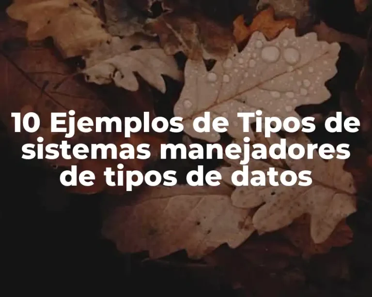 10 Ejemplos de Tipos de sistemas manejadores de tipos de datos