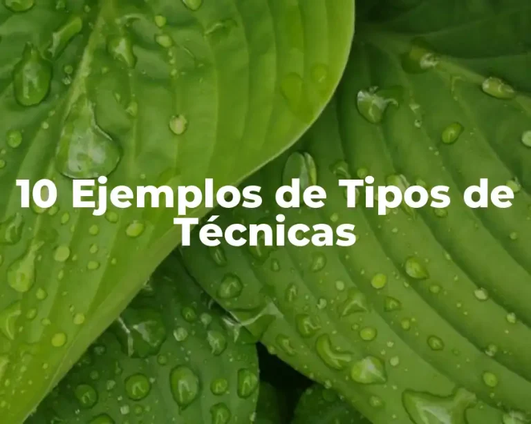10 Ejemplos de Tipos de Técnicas