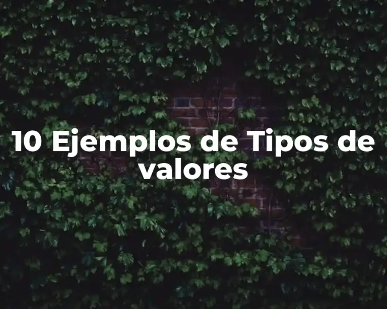 10 Ejemplos de Tipos de valores