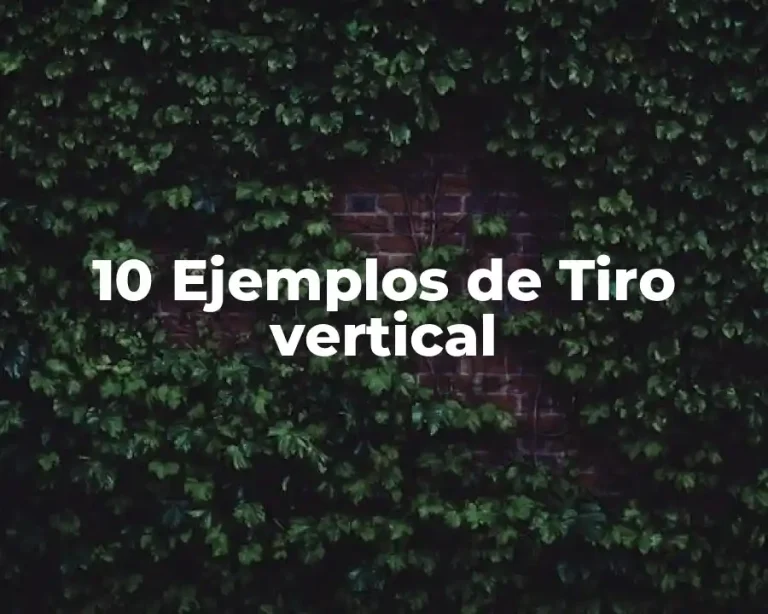10 Ejemplos de Tiro vertical