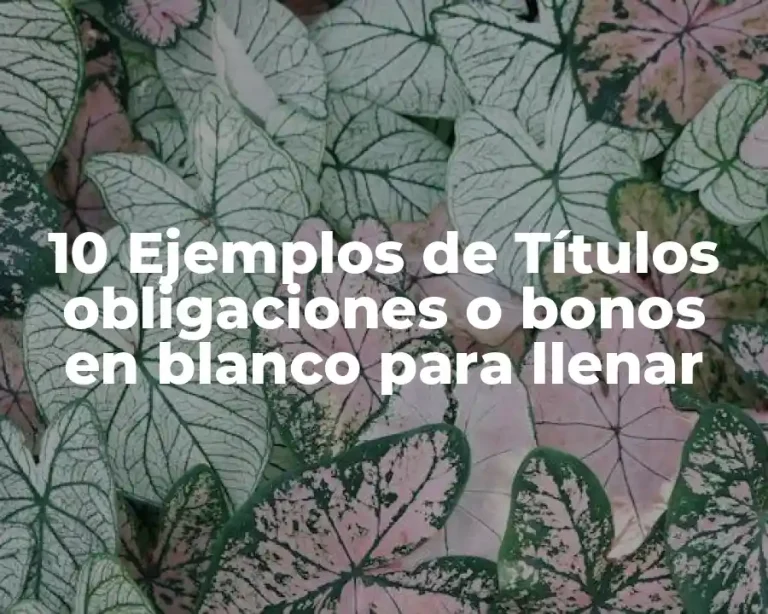 10 Ejemplos de Títulos obligaciones o bonos en blanco para llenar