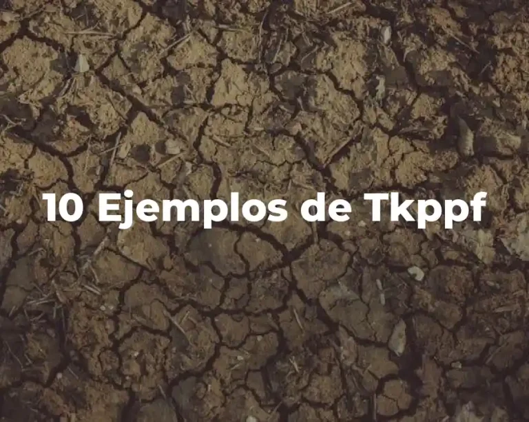 10 Ejemplos de Tkppf