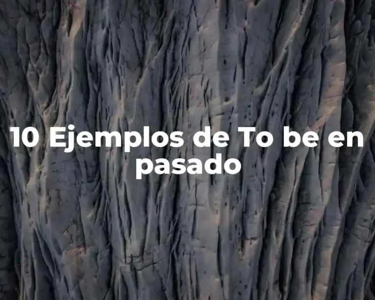 10 Ejemplos de To be en pasado
