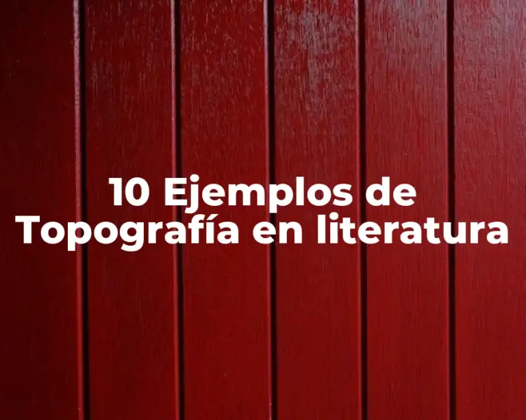 10 Ejemplos de Topografía en literatura