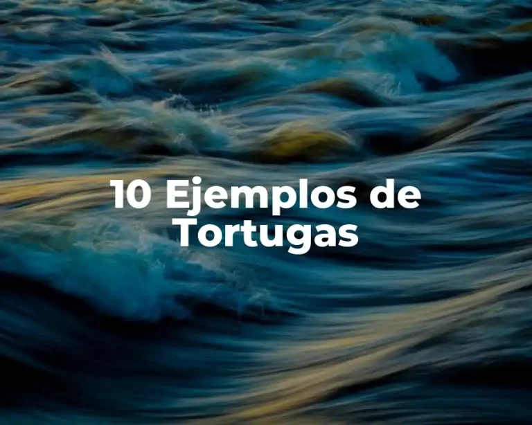 10 Ejemplos de Tortugas
