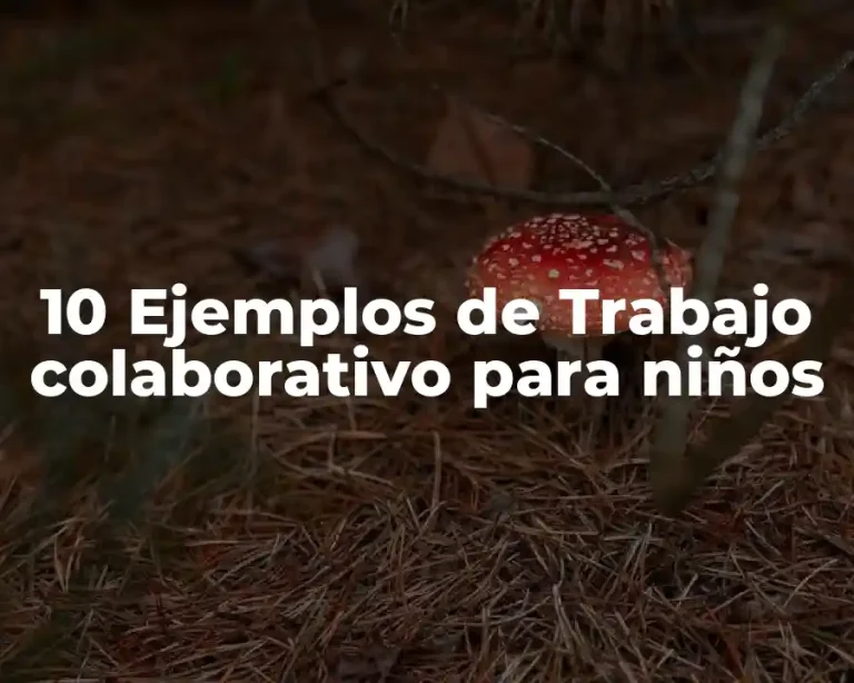 10 Ejemplos de Trabajo colaborativo para niños