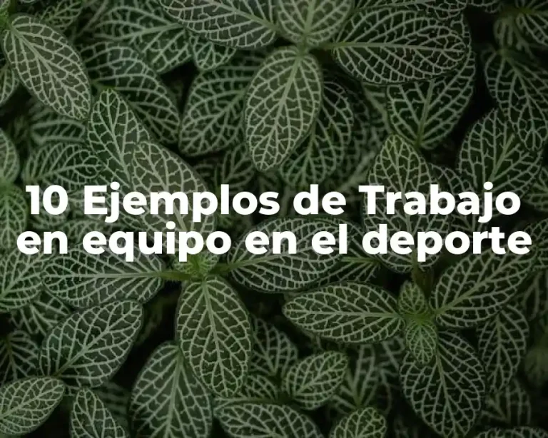 10 Ejemplos de Trabajo en equipo en el deporte